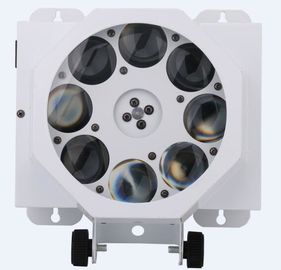RGBW 4 in 1 ha condotto le luci della fase della discoteca dei Gobos del fascio del Cree/la luce 8 x 10w di effetto fascio di Dmx