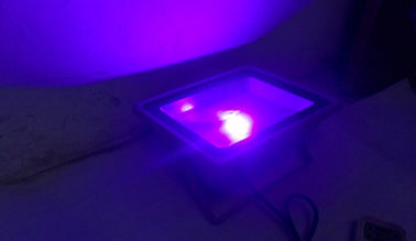 Luci di inondazione principali all'aperto UV 10w/20w/30w/40w/50w del proiettore per la fase